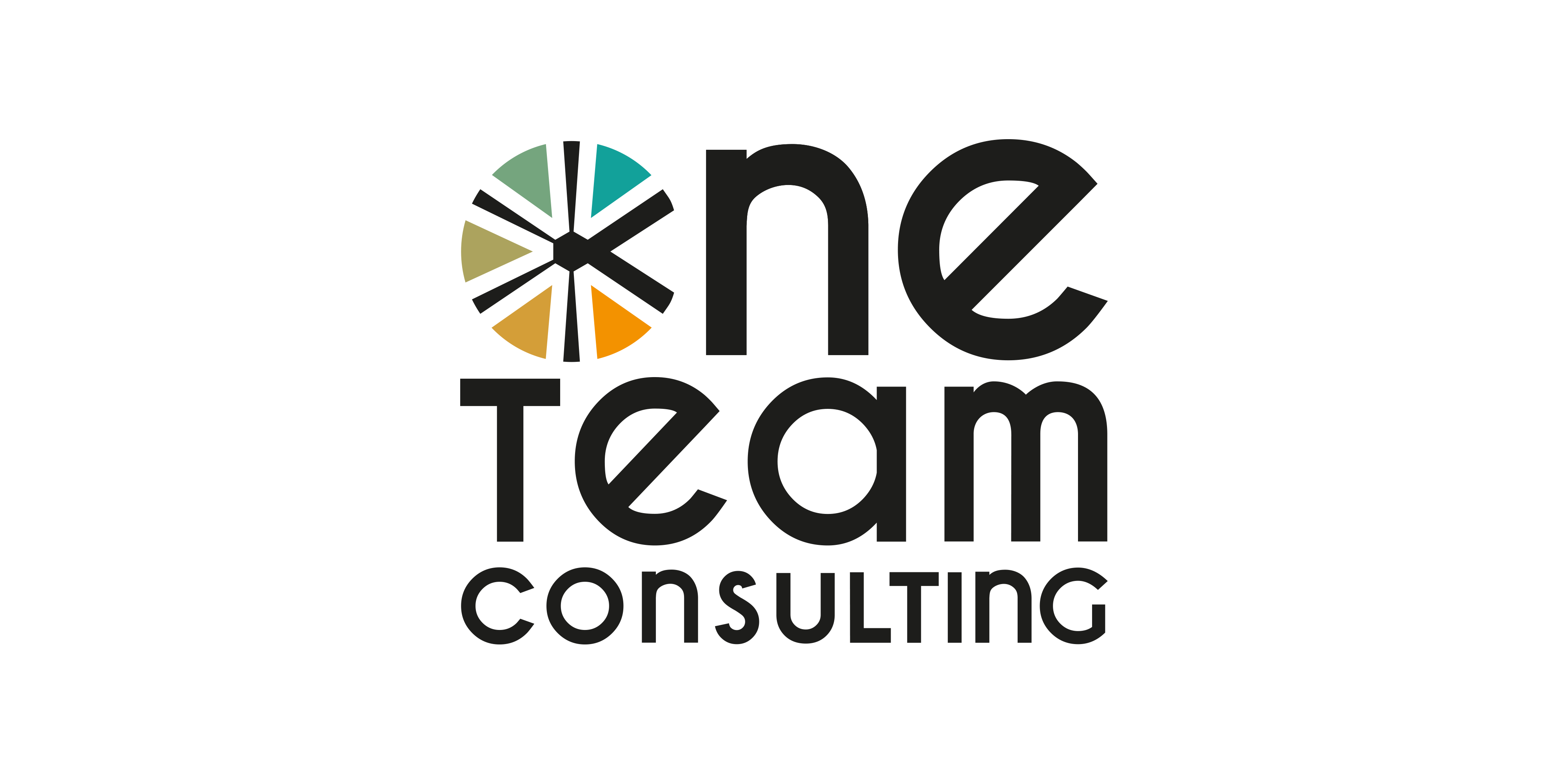 One Team Consulting